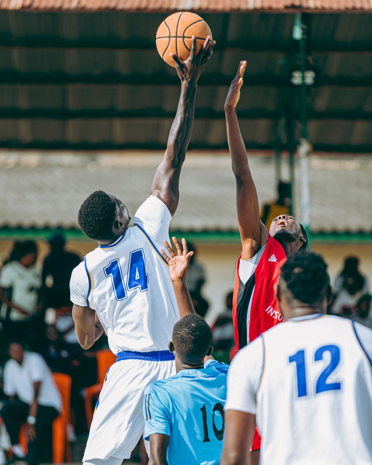 Baloncesto Superior del DN en marcha clean_post_274
