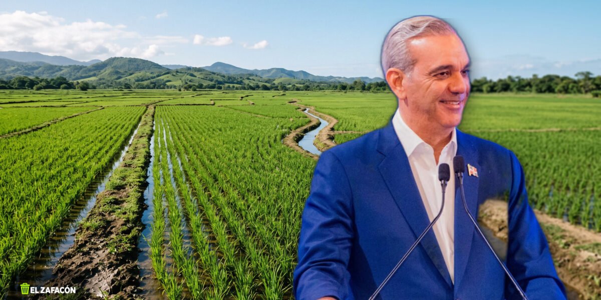 Luis Abinader - produccion nacional de arroz