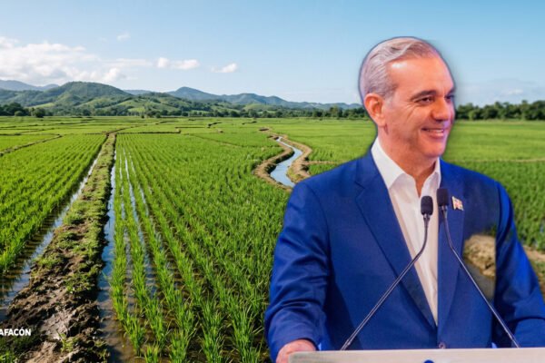 Luis Abinader - produccion nacional de arroz