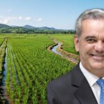 Abinader afirma que los arroceros conocían las medidas antes del decreto Luis Abinader
