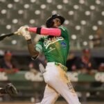 Un bateador de las Estrellas Orientales hace swing durante un juego de la Lidom