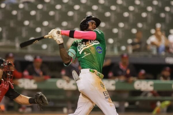 Un bateador de las Estrellas Orientales hace swing durante un juego de la Lidom