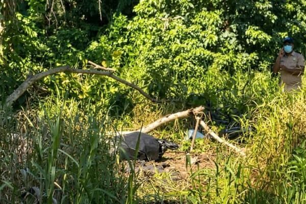 Un saco oscuro en el suelo entre ramas y hierba alta, con un agente uniformado y con mascarilla al fondo hablando por teléfono