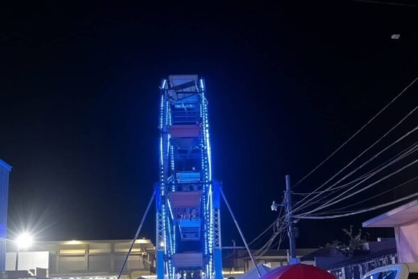 Una noria con luces azules en una feria de atracciones, de noche