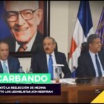 PLD suspende consulta ciudadana para elegir aspirante presidencial de 2028 pld-suspension-consulta-presidencial-2028