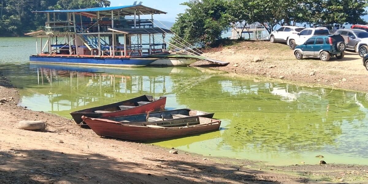 Botes de madera varados en la orilla de un embalse de aguas verdosas, con una embarcación turística de dos pisos y vehículos estacionados al fondo.