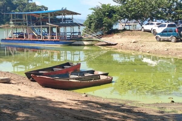 Botes de madera varados en la orilla de un embalse de aguas verdosas, con una embarcación turística de dos pisos y vehículos estacionados al fondo.