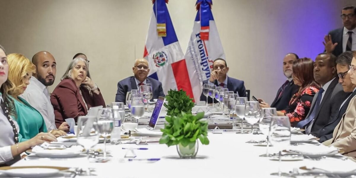 Integrantes de un consejo sentados alrededor de una mesa larga, frente a la bandera dominicana y una bandera de Promipyme.