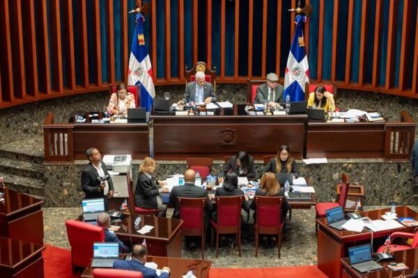 Senadores y personal técnico durante una sesión en el hemiciclo del Senado dominicano, con la mesa directiva y dos banderas dominicanas al fondo